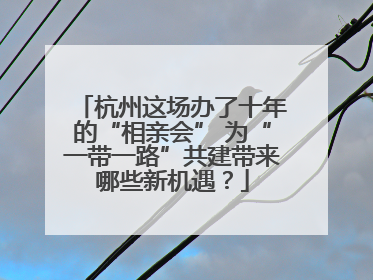 杭州这场办了十年的“相亲会” 为“一带一路”共建带来哪些新机遇？