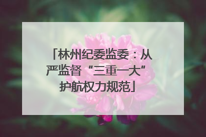 林州纪委监委：从严监督“三重一大” 护航权力规范