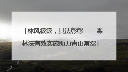 林风簌簌，其法彰彰——森林法有效实施助力青山常翠