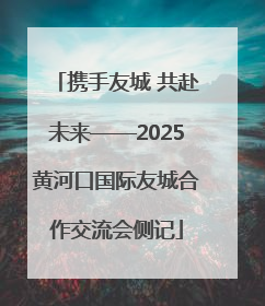 携手友城 共赴未来——2025黄河口国际友城合作交流会侧记