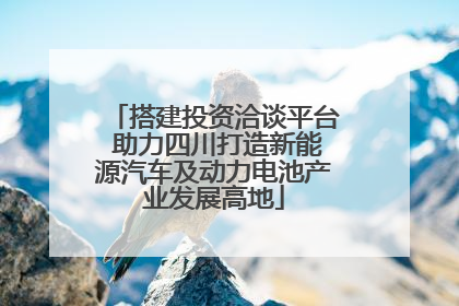 搭建投资洽谈平台 助力四川打造新能源汽车及动力电池产业发展高地