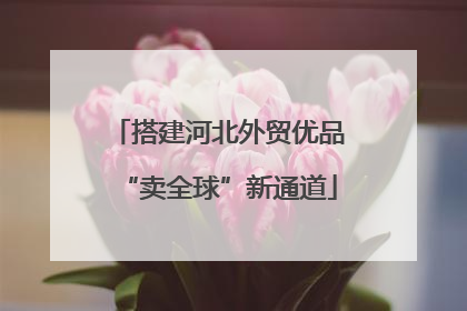 搭建河北外贸优品“卖全球”新通道