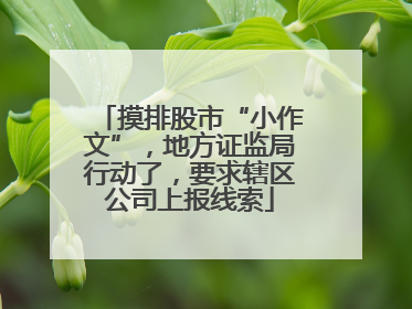 摸排股市“小作文”，地方证监局行动了，要求辖区公司上报线索