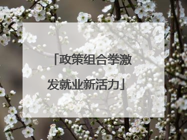 政策组合拳激发就业新活力