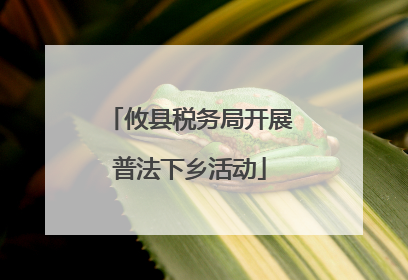 攸县税务局开展普法下乡活动