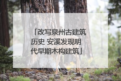 改写泉州古建筑历史 安溪发现明代早期木构建筑