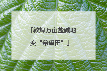 敦煌万亩盐碱地变“希望田”