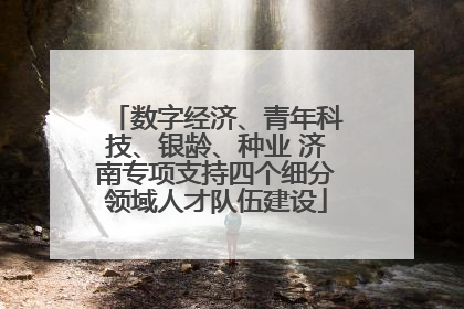 数字经济、青年科技、银龄、种业 济南专项支持四个细分领域人才队伍建设