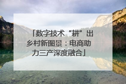 数字技术“耕”出乡村新图景：电商助力三产深度融合