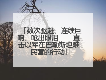 数次驱赶、连续巨响、呛出眼泪——直击以军在巴勒斯坦难民营的行动