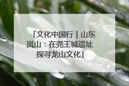 文化中国行｜山东岚山：在尧王城遗址探寻龙山文化