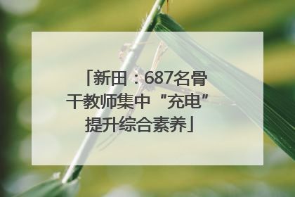 新田：687名骨干教师集中“充电” 提升综合素养
