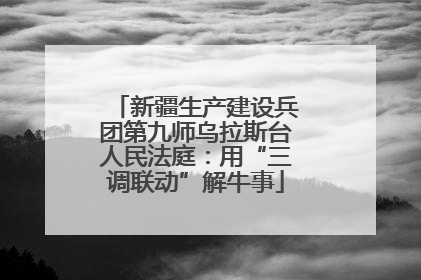 新疆生产建设兵团第九师乌拉斯台人民法庭：用“三调联动”解牛事