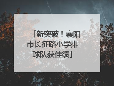 新突破！襄阳市长征路小学排球队获佳绩