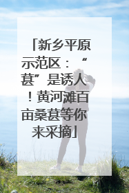 新乡平原示范区：“葚”是诱人！黄河滩百亩桑葚等你来采摘