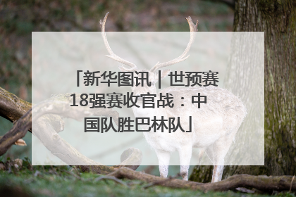 新华图讯｜世预赛18强赛收官战：中国队胜巴林队