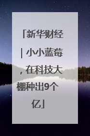 新华财经｜小小蓝莓，在科技大棚种出9个亿
