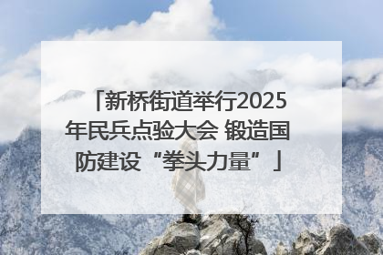 新桥街道举行2025年民兵点验大会 锻造国防建设“拳头力量”