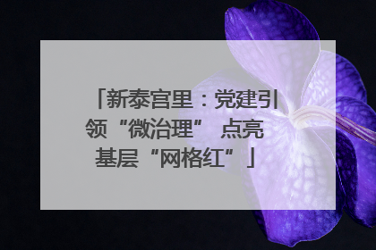新泰宫里：党建引领“微治理” 点亮基层“网格红”