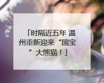 时隔近五年 温州重新迎来“国宝”大熊猫！