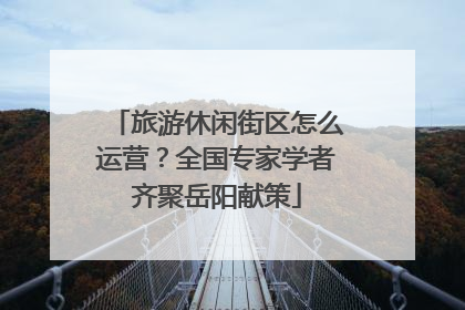 旅游休闲街区怎么运营？全国专家学者齐聚岳阳献策