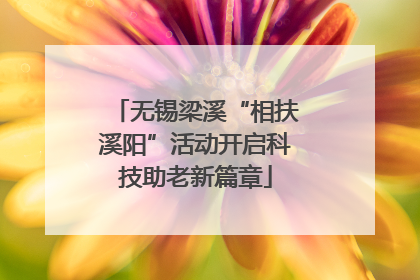 无锡梁溪“相扶溪阳”活动开启科技助老新篇章