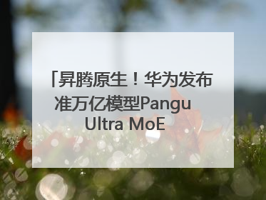昇腾原生！华为发布准万亿模型Pangu Ultra MoE模型架构和训练细节