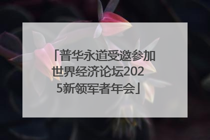 普华永道受邀参加世界经济论坛2025新领军者年会