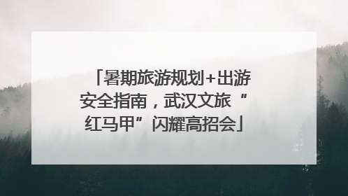 暑期旅游规划+出游安全指南，武汉文旅“红马甲”闪耀高招会