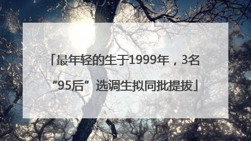 最年轻的生于1999年，3名“95后”选调生拟同批提拔
