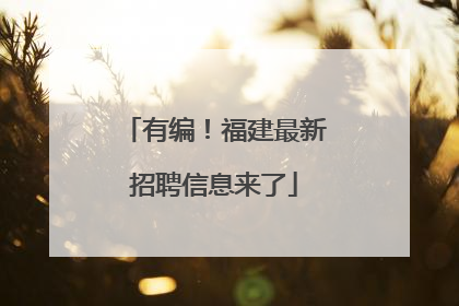 有编!福建最新招聘信息来了