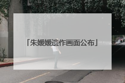 朱媛媛遗作画面公布