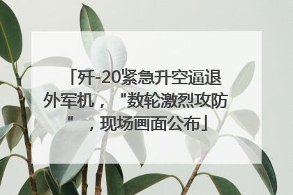 歼-20紧急升空逼退外军机，“数轮激烈攻防”，现场画面公布