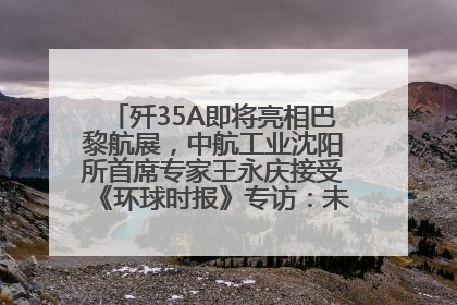 歼35A即将亮相巴黎航展，中航工业沈阳所首席专家王永庆接受《环球时报》专访：未来数量可以有很多