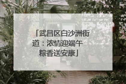武昌区白沙洲街道：浓情迎端午 粽香送安康