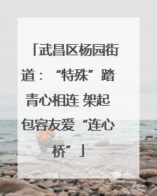 武昌区杨园街道：“特殊”踏青心相连 架起包容友爱“连心桥”