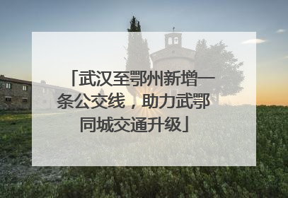 武汉至鄂州新增一条公交线，助力武鄂同城交通升级