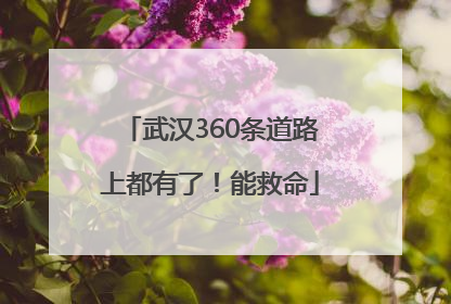 武汉360条道路上都有了！能救命
