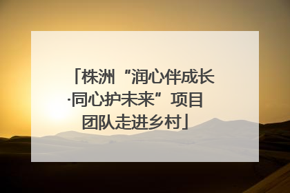 株洲“润心伴成长·同心护未来”项目团队走进乡村