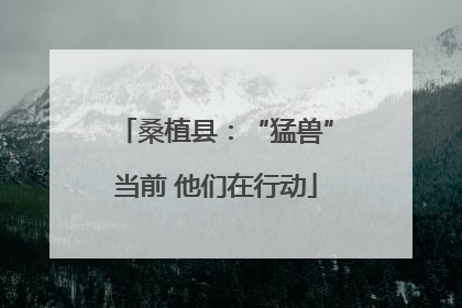桑植县：“猛兽”当前 他们在行动