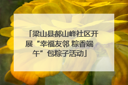 梁山县郝山峰社区开展“幸福友邻 粽香端午”包粽子活动