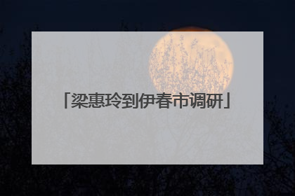 梁惠玲到伊春市调研