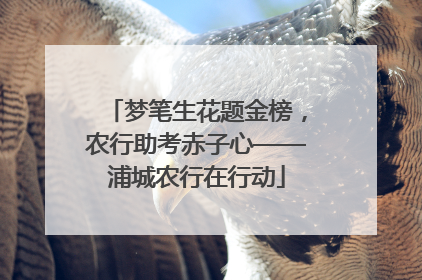 梦笔生花题金榜，农行助考赤子心——浦城农行在行动