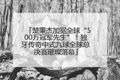 楚秉杰加冕全球“500万冠军先生”！独牙传奇中式九球全球总决赛璀璨落幕