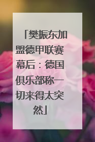 樊振东加盟德甲联赛幕后：德国俱乐部称一切来得太突然