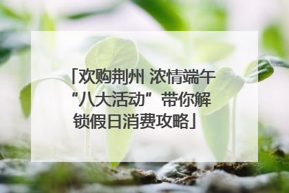 欢购荆州 浓情端午 “八大活动”带你解锁假日消费攻略
