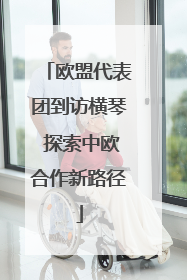 欧盟代表团到访横琴 探索中欧合作新路径