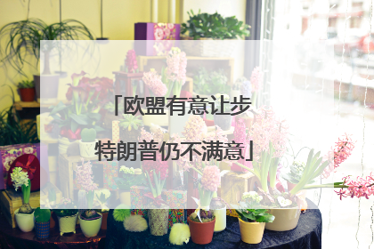 欧盟有意让步 特朗普仍不满意