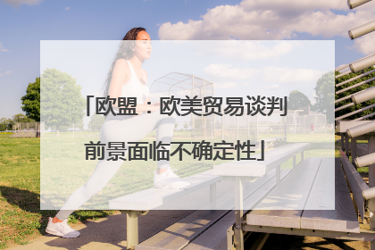 欧盟：欧美贸易谈判前景面临不确定性
