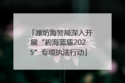 潍坊海警局深入开展“碧海蓝盾2025”专项执法行动